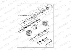 DRIVE TRAIN | DRIVE TRAIN, MAIN GEARCASE INTERNALS - Z15VHA57FJ (49RGRTRANSINTL1333133)