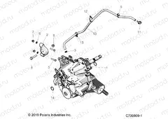 DRIVE TRAIN | DRIVE TRAIN, MAIN GEARCASE MOUNTING - Z22ASE99F4/F5/S99C4/C5 (C700809-1)