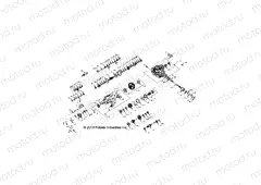 DRIVE TRAIN | DRIVE TRAIN, MAIN GEARCASE - R15RMA32AA/AJ (49RGRGEARCASE1333378)