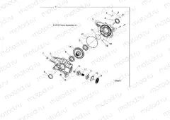 DRIVE TRAIN | DRIVE TRAIN, REAR GEARCASE INTERNALS - A21S6E57A1/3A1 (100453)