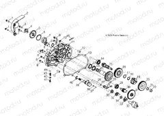 DRIVE TRAIN | DRIVE TRAIN, TRANSMISSION - A13FA09AA (49ATVTRANSMISSION07OTLW90)
