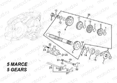 Driven shaft - 5 GEARS