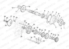 Driven shaft