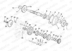 Driven shaft