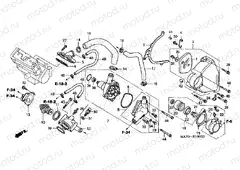 E-10-1 WATER PUMP (W / X / Y / 1/2/3/4)