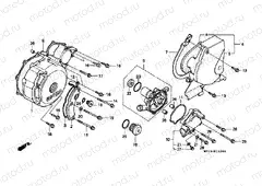 E-10 LEFT CRANKSHAFT COVER / WATER PUMP