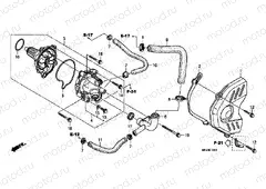 E-10 WATER PUMP