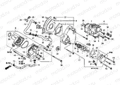 E-11 LEFT REAR COVER / WATER PUMP