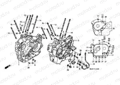 E-14 CRANKSHAFT