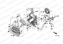 E-14 RADIATOR (WW125EX2A / EX2B)