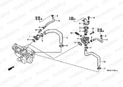 E-17 THERMOSTAT