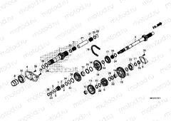 E-19-11 TRANSMISSION (MAINSHAFT) (DCT)