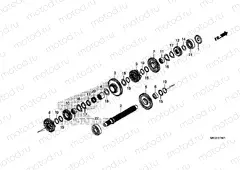 E-19-21 TRANSMISSION (COUNTERSHAFT) (DCT)