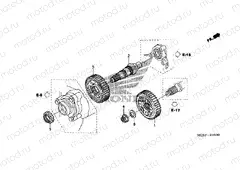 E-19 MAIN GEAR
