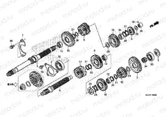 E-19 TRANSMISSION