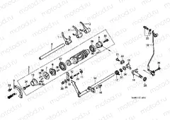 E-19 TRANSMISSION DRUM / CLUTCH FORK