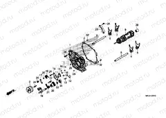 E-20-10 SHIFT DRUM/SHIFT FORK (DCT)