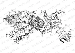 E-6-1 RIGHT CRANKSHAFT COVER (VFR1200XD / XDA / XDL / XDS)