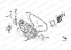 E-6 RIGHT CRANKCASE COVER NT1100A