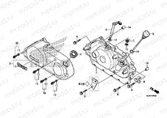 E-6 RIGHT CRANKSHAFT COVER (VT750CS / C2B / C2S / C)