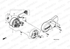 E-7 LEFT CRANKSHAFT COVER / GENERATOR (C50DF / G / DG / SN)