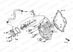 E-7 RIGHT CRANKCASE COVER / WATER PUMP