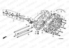 E-8 CRANKSHAFT / OIL PUMP (C50DF / G / DG / J / N / SN)