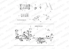 ELECTRICAL | ELECTRICAL, HARNESS - A11DX55FL (49ATVHARNESS11SPTRGEPS550I)