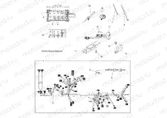 ELECTRICAL | ELECTRICAL, HARNESS - A13TN55AA/AZ (49ATVHARNESS13SPX2550)