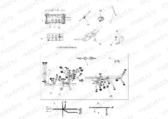 ELECTRICAL | ELECTRICAL, HARNESS - A13ZN5EAD/K/L/T (49ATVHARNESS13SPEPS550)