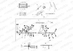 ELECTRICAL | ELECTRICAL, HARNESS - A13ZN8EAD/K/L/T (49ATVHARNESS12SPXPEPS850)