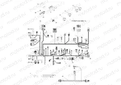 ELECTRICAL | ELECTRICAL, HARNESSES - A09MN50ET (49ATVHARNESS09SP500TR)