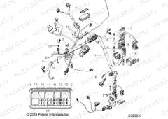 ELECTRICAL | ELECTRICAL, HARNESSES, FRONT - L22G2AEALA/DEALA/4AEALA/6AEALA (C300337)