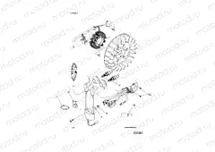 ELECTRICAL | ELECTRICAL, IGNITION SYSTEM - S21CFE5BSL (600991)