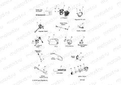 ELECTRICAL | ELECTRICAL, SWITCHES, SENSORS and COMPONENTS - S20DDL8PS ALL OPTIONS (601442)