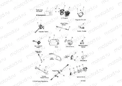 ELECTRICAL | ELECTRICAL, SWITCHES, SENSORS and COMPONENTS - S20EDE6PS ALL OPTIONS (601365)
