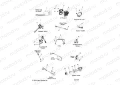 ELECTRICAL | ELECTRICAL, SWITCHES, SENSORS and COMPONENTS - S20EEG6PSL (601431)