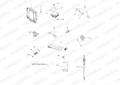 ELECTRICAL | ELECTRICAL, SWITCHES, SENSORS, ECU and CONTROL MODULES - A13ZN5EFF (49ATVSWITCHES11SPEPS550I)