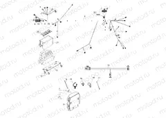 ELECTRICAL | ELECTRICAL, WIRE HARNESS, EPS - R11VH76/VY76 ALL OPTIONS (49RGRHARNESS11RZREPS)