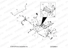 ELECTRICAL | ELECTRICAL, WIRE HARNESS - G20GAE99A2/A4/D99AK/AS/BK/BS (C0703800-1)