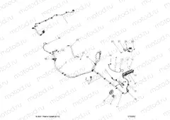 ELECTRICAL | ELECTRICAL, WIRE HARNESS, PERIPHERAL - Z22RME2KAG/BG/K2KAN/BN (C703072)