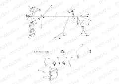 ELECTRICAL | ELECTRICAL, WIRE HARNESS - R11VH76/VY76 ALL OPTIONS (49RGRHARNESS11RZR)