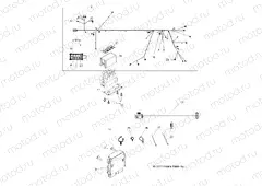 ELECTRICAL | ELECTRICAL, WIRE HARNESS - R13XE76AD (49RGRHARNESS12RZR4)