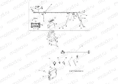 ELECTRICAL | ELECTRICAL, WIRE HARNESS - R13XE7EAI (49RGRHARNESS12RZR4EPS)