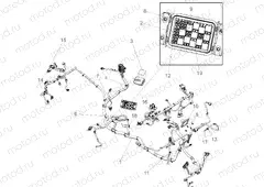 ELECTRICAL | ELECTRICAL, WIRE HARNESS - R20RRR99A/B (C700851)