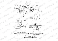 ELECTRICAL | ELECTRICAL, WIRE HARNESS - S20DCH6PS ALL OPTIONS (601341)