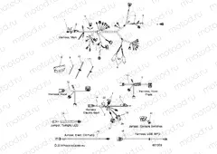 ELECTRICAL | ELECTRICAL, WIRE HARNESS - S20EFK6PS/6PEB (601339)