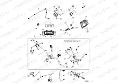 ELECTRICAL | ELECTRICAL, WIRE HARNESS - Z15VBE87FK/JK (700051)