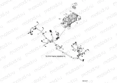 ELECTRICAL | ELECTRICAL, WIRE HARNESS - Z18VFE99BK/BW (701217)