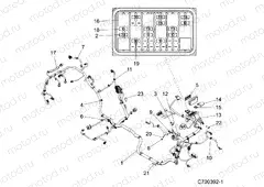 ELECTRICAL | ELECTRICAL, WIRE HARNESS - Z19VEE92BM (C700392-1)